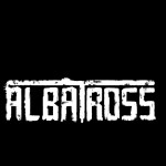 Albatross