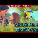 Malai Herne Timro Najar