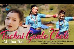 Tachai Gaule Cheli